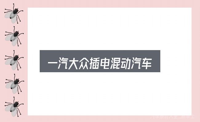 关于一汽大众插电混动汽车，一份写给新手的说明