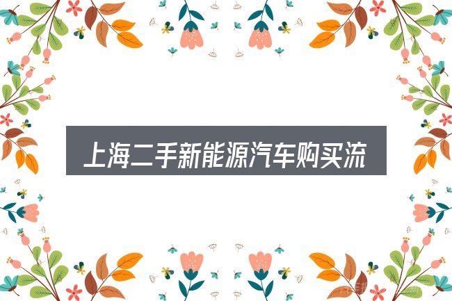 上海二手新能源汽车购买流程怎么选？概念、方法与实践