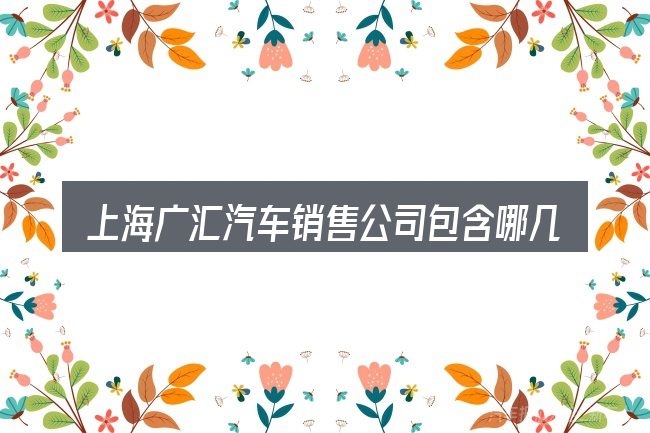 上海广汇汽车销售公司包含哪几层意思