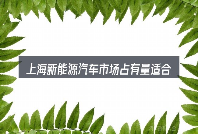 上海新能源汽车市场占有量适合哪些场景