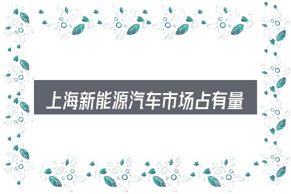一文讲清上海新能源汽车市场占有量：新手购车容易忽略的细节