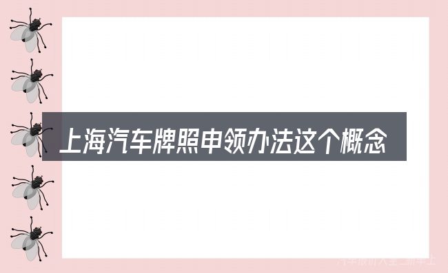 上海汽车牌照申领办法这个概念怎么理解