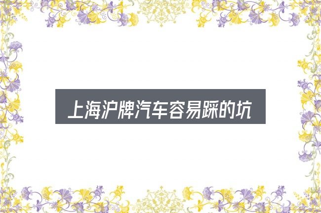 上海沪牌汽车容易踩的坑