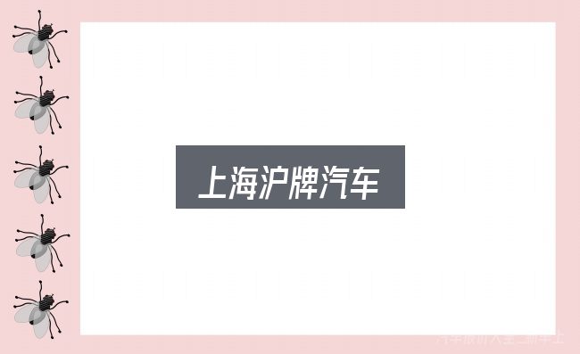 上海沪牌汽车全面解析：看完能少走弯路