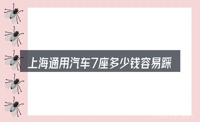 上海通用汽车7座多少钱容易踩的坑