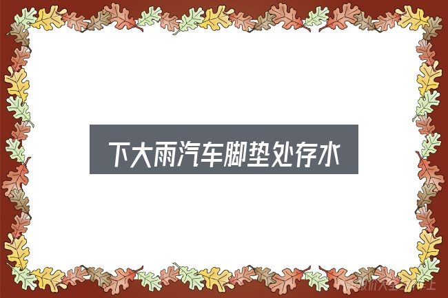 关于下大雨汽车脚垫处存水，价格、配置与保值率怎么权衡