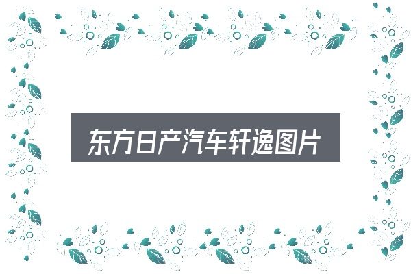 东方日产汽车轩逸图片是什么？概念、方法与实践