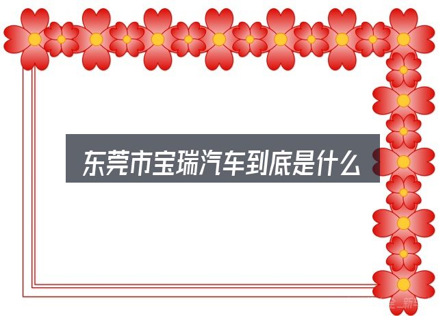 东莞市宝瑞汽车到底是什么