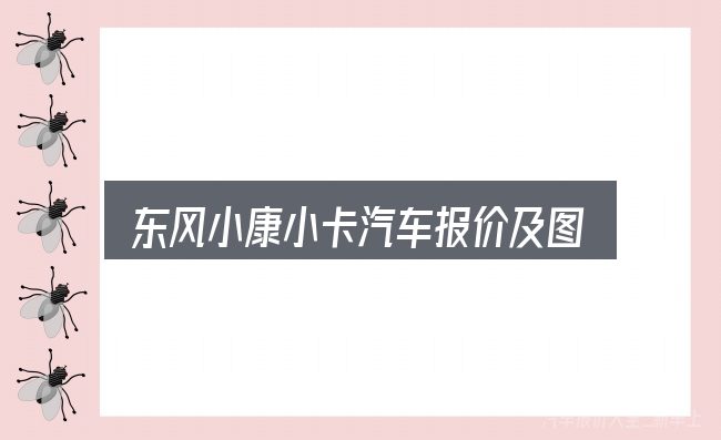 东风小康小卡汽车报价及图片及报价图片入门笔记：动力、空间与用车成本对比