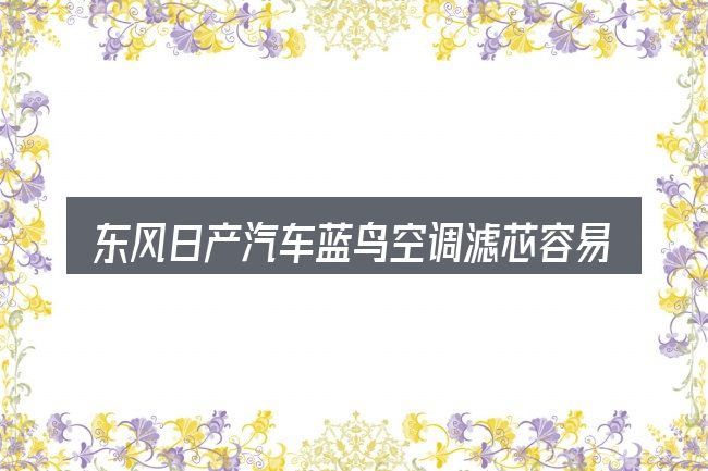 东风日产汽车蓝鸟空调滤芯容易踩的坑