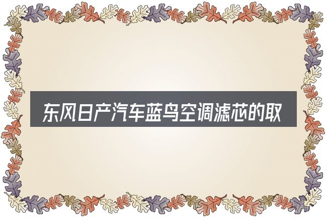 东风日产汽车蓝鸟空调滤芯的取舍逻辑