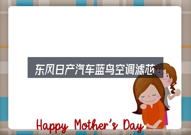 关于东风日产汽车蓝鸟空调滤芯，从选车到用车的实际经验