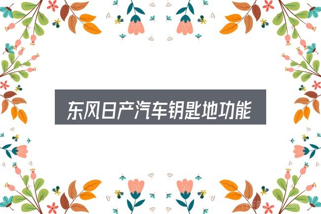 东风日产汽车钥匙地功能怎么选？看完能少走弯路