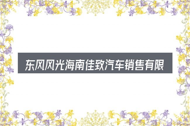 东风风光海南佳致汽车销售有限公司的几个核心要点