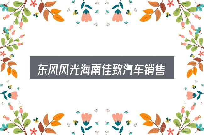 一文讲清东风风光海南佳致汽车销售有限公司：别被表面信息误导