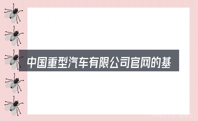 中国重型汽车有限公司官网的基本含义与边界