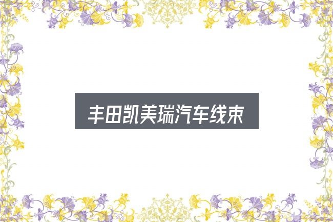 关于丰田凯美瑞汽车线束，新手购车容易忽略的细节