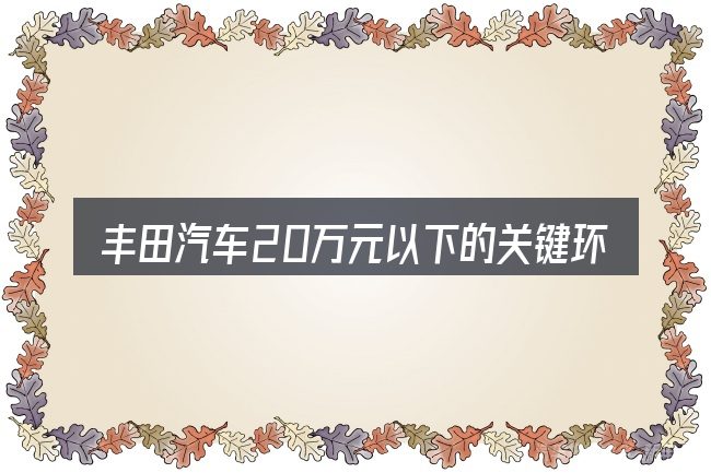 丰田汽车20万元以下的关键环节