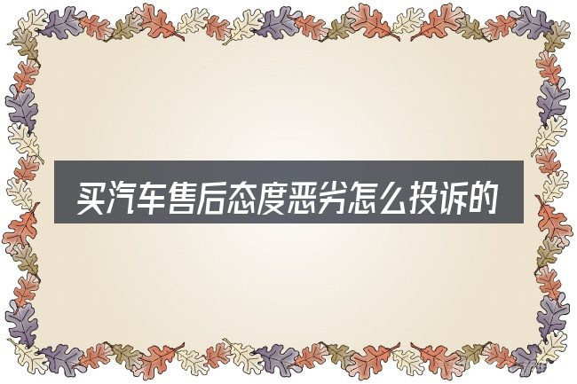 买汽车售后态度恶劣怎么投诉的典型使用场景