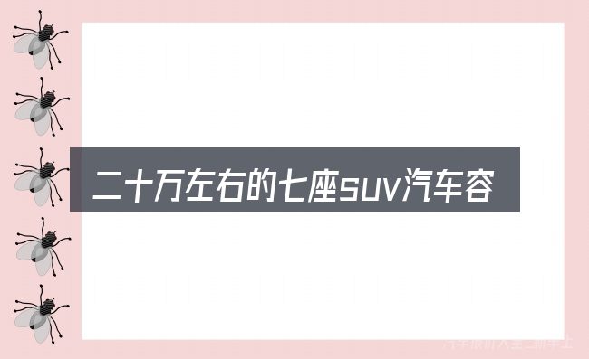 二十万左右的七座suv汽车容易踩的坑