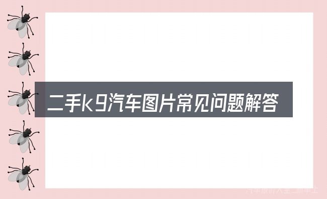 二手k9汽车图片常见问题解答