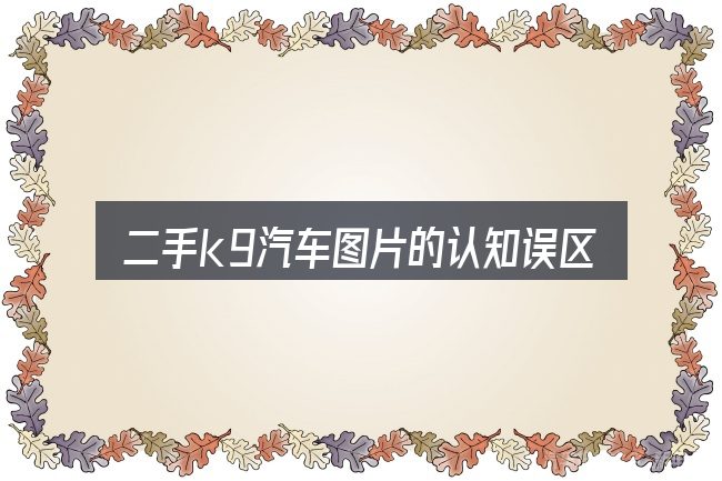 二手k9汽车图片的认知误区