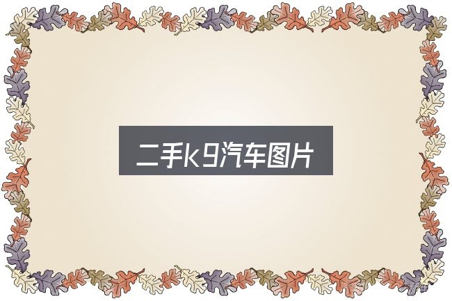 二手k9汽车图片全面解析：避开这几种常见偏差