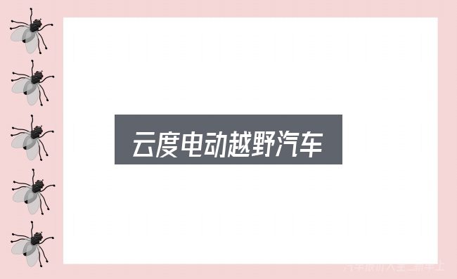 云度电动越野汽车实用指南：看完能少走弯路