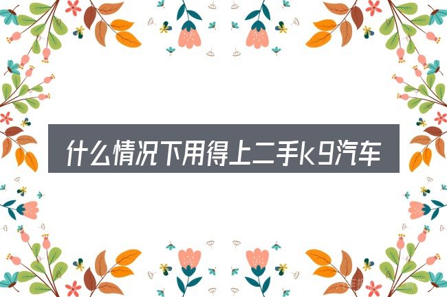 什么情况下用得上二手k9汽车图片