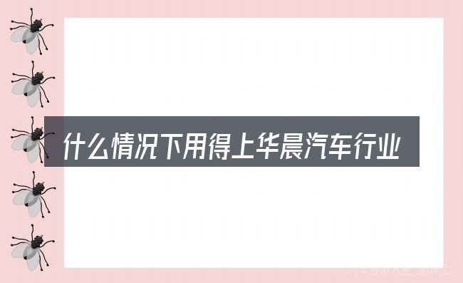 什么情况下用得上华晨汽车行业分析