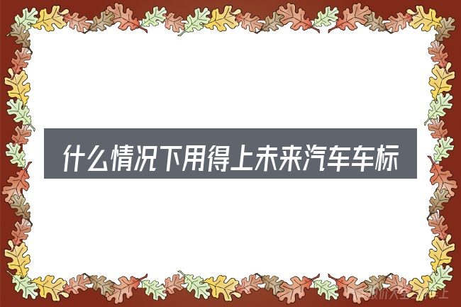 什么情况下用得上未来汽车车标志是