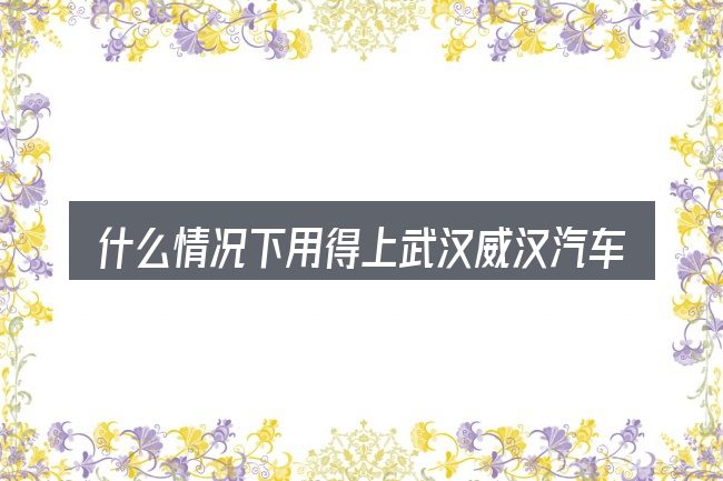什么情况下用得上武汉威汉汽车福特4s店