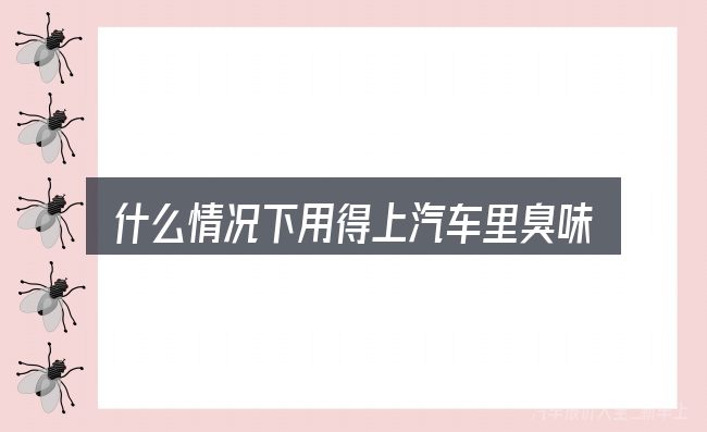 什么情况下用得上汽车里臭味