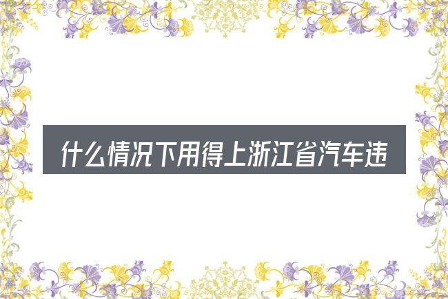什么情况下用得上浙江省汽车违章查询网站