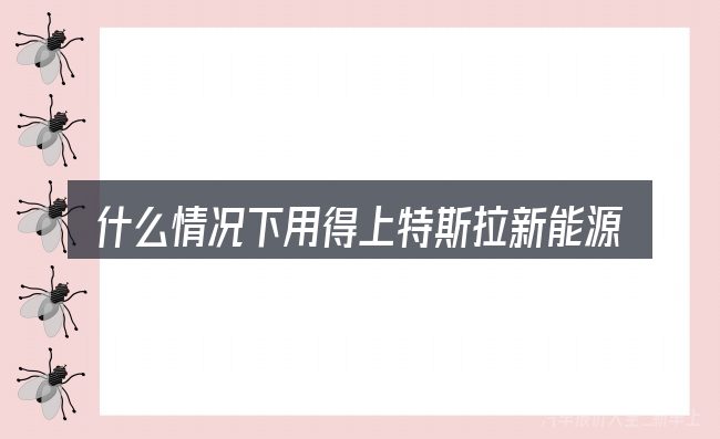 什么情况下用得上特斯拉新能源汽车占市场份额