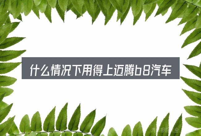 什么情况下用得上迈腾b8汽车护板卡子