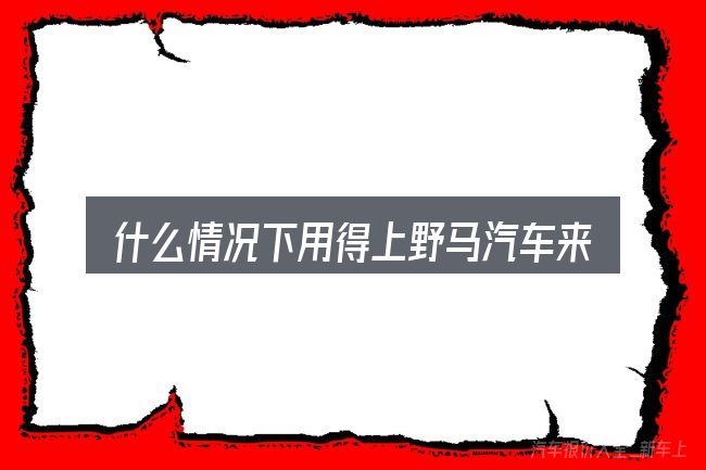 什么情况下用得上野马汽车来