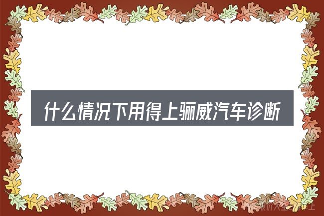 什么情况下用得上骊威汽车诊断的插头在哪里