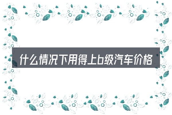 什么情况下用得上b级汽车价格走势