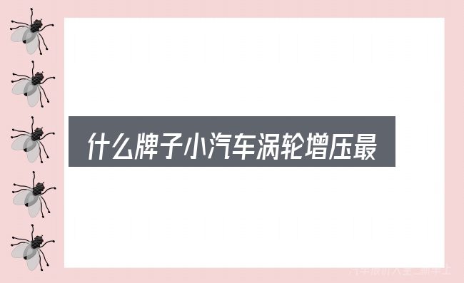 什么牌子小汽车涡轮增压最好，一份写给新手的说明