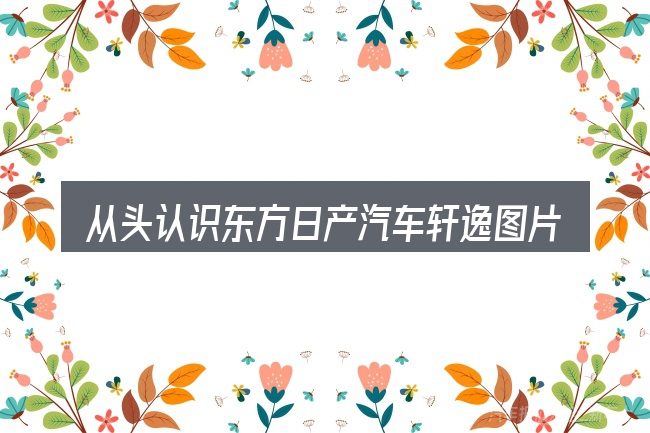 从头认识东方日产汽车轩逸图片