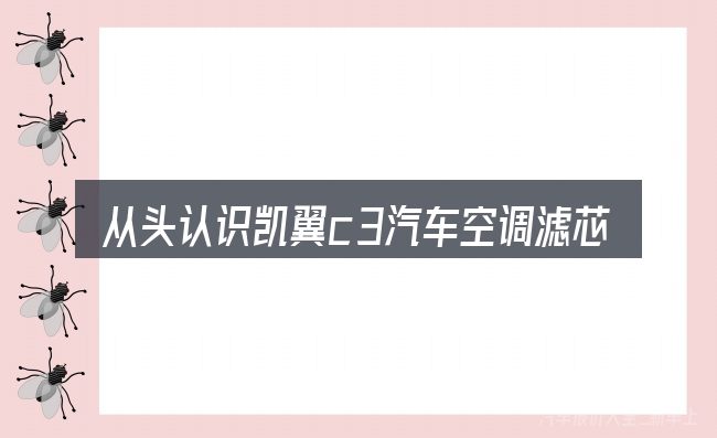 从头认识凯翼c3汽车空调滤芯