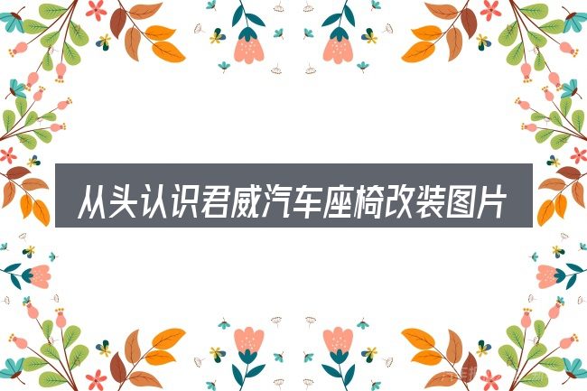 从头认识君威汽车座椅改装图片