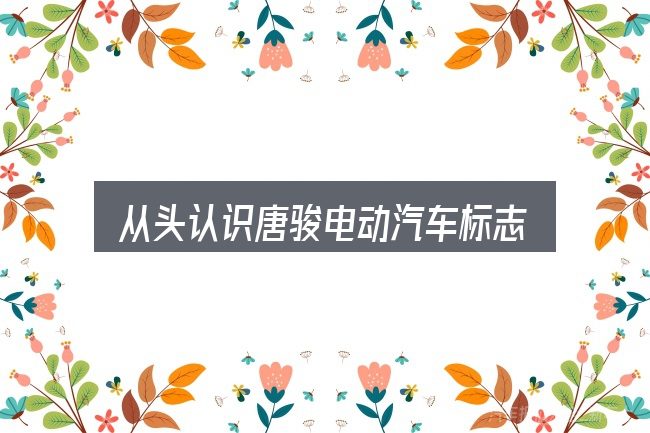 从头认识唐骏电动汽车标志