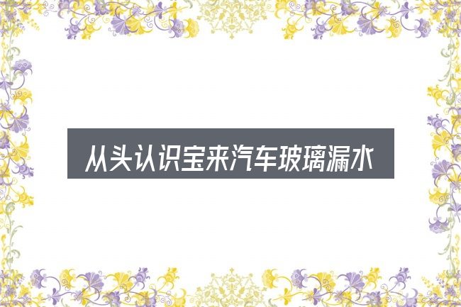 从头认识宝来汽车玻璃漏水