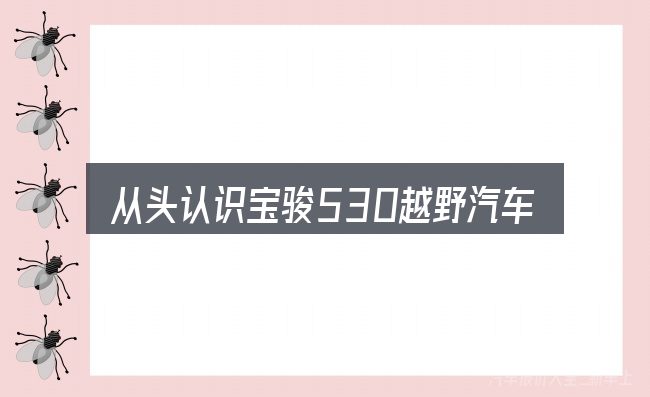 从头认识宝骏530越野汽车
