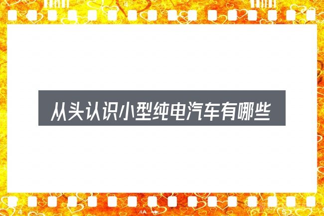 从头认识小型纯电汽车有哪些