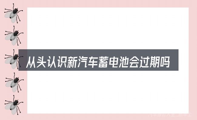 从头认识新汽车蓄电池会过期吗