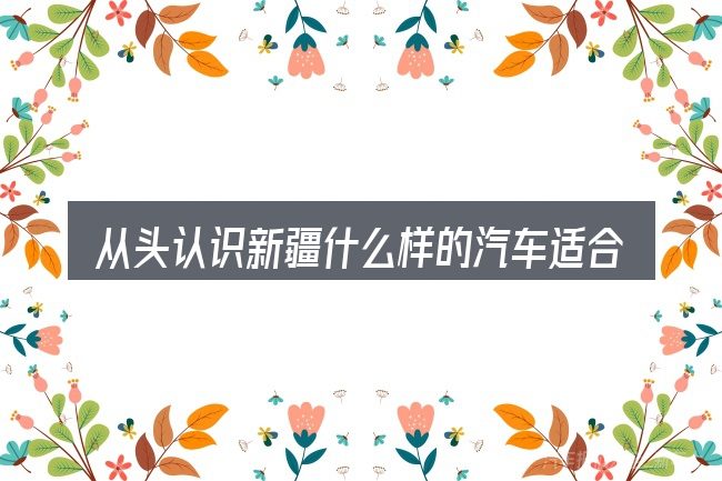 从头认识新疆什么样的汽车适合