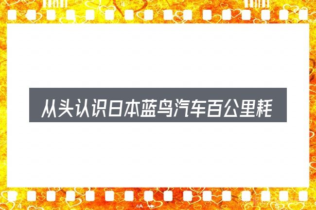 从头认识日本蓝鸟汽车百公里耗油多少